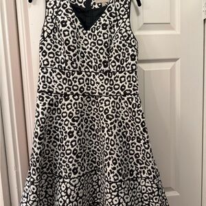 Banana Republic Black and White Sleeveless V-Neck Fit and Flare Dress